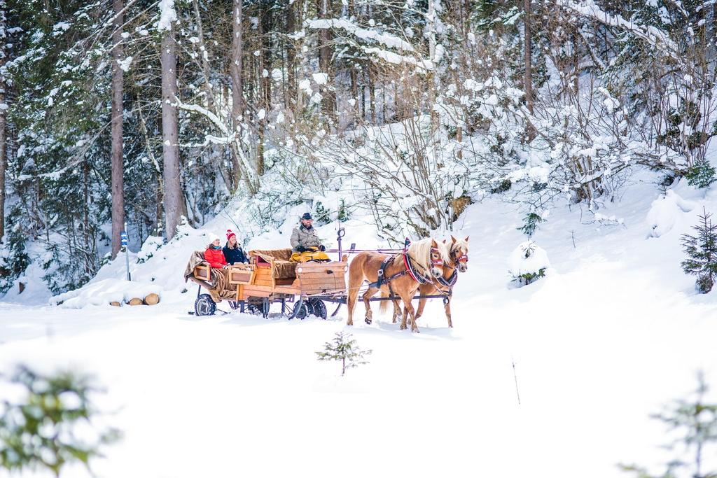Schlittenfahrt im Wald