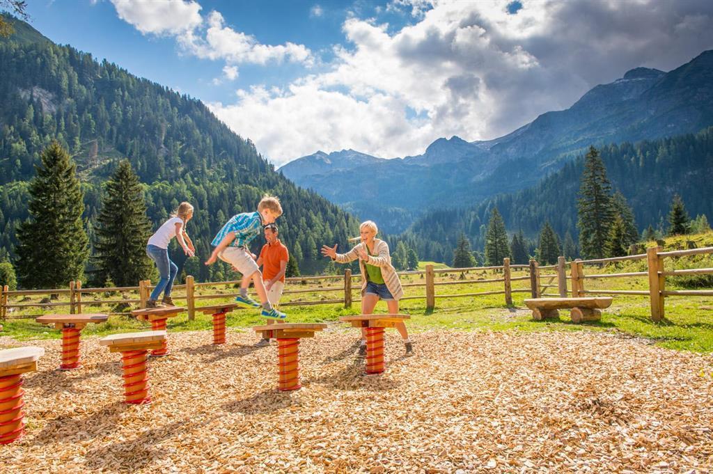 Alles Alm - Spielstation