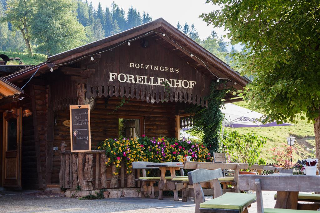 Gasthof Forellenhof - Laussa