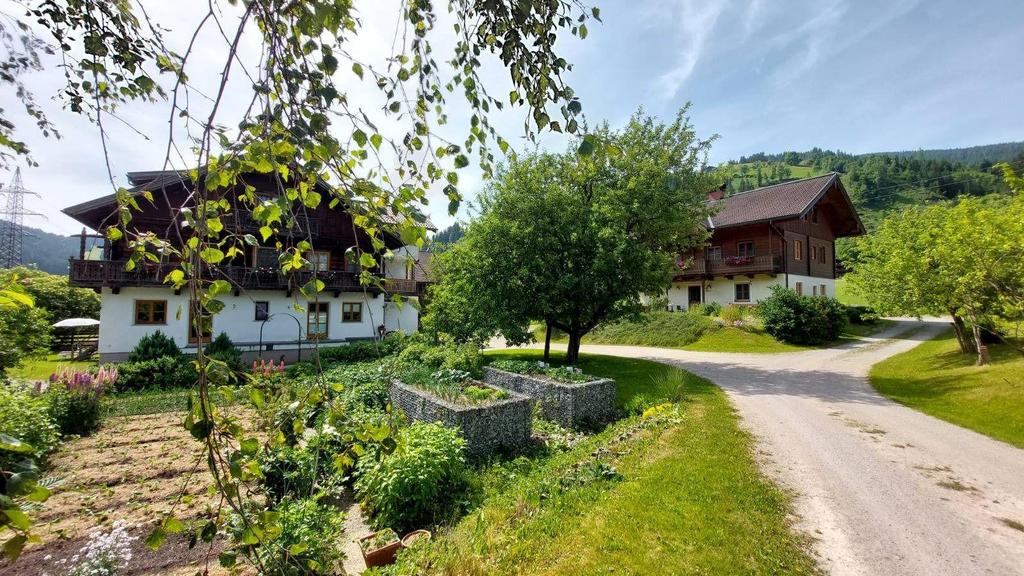 Neuhof 2023-06-20