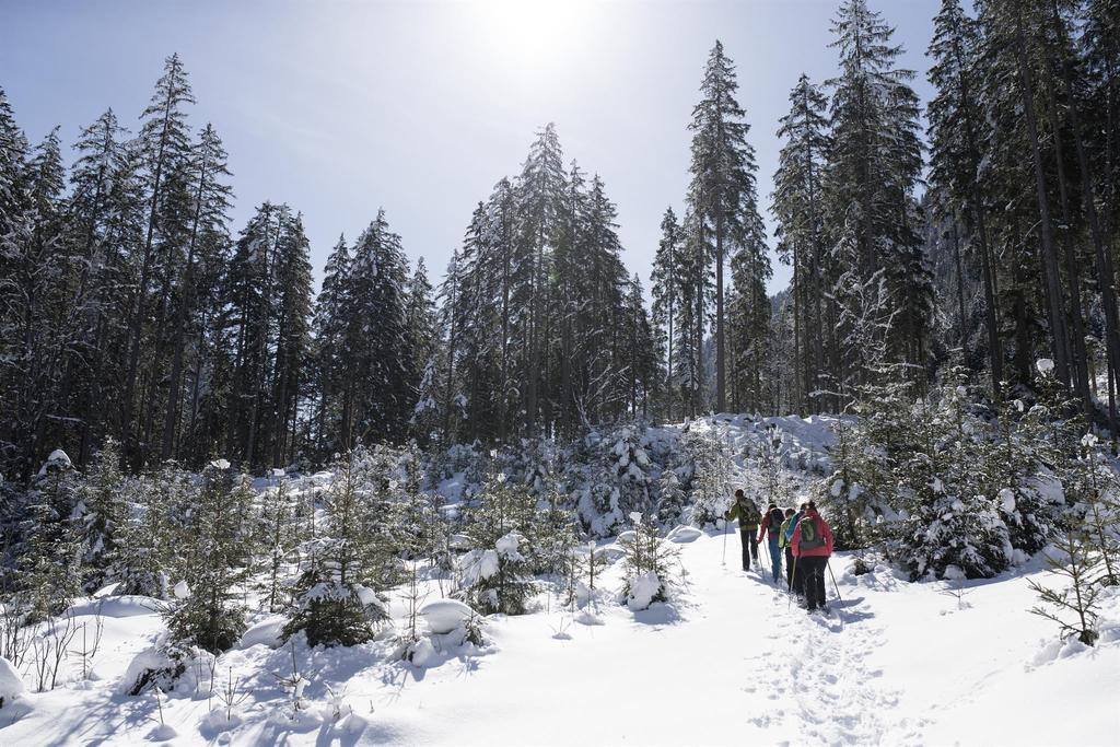 Schneeschuhwanderung ins Untersulzbachtal