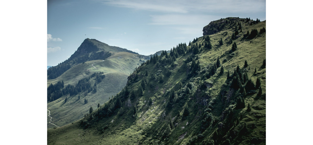 Kulinarische Höhenwanderung (c) Kitzbuehel Tourismus