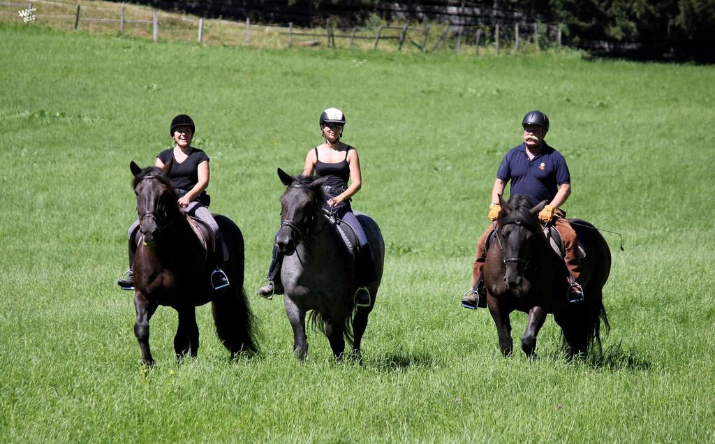 Reiten
