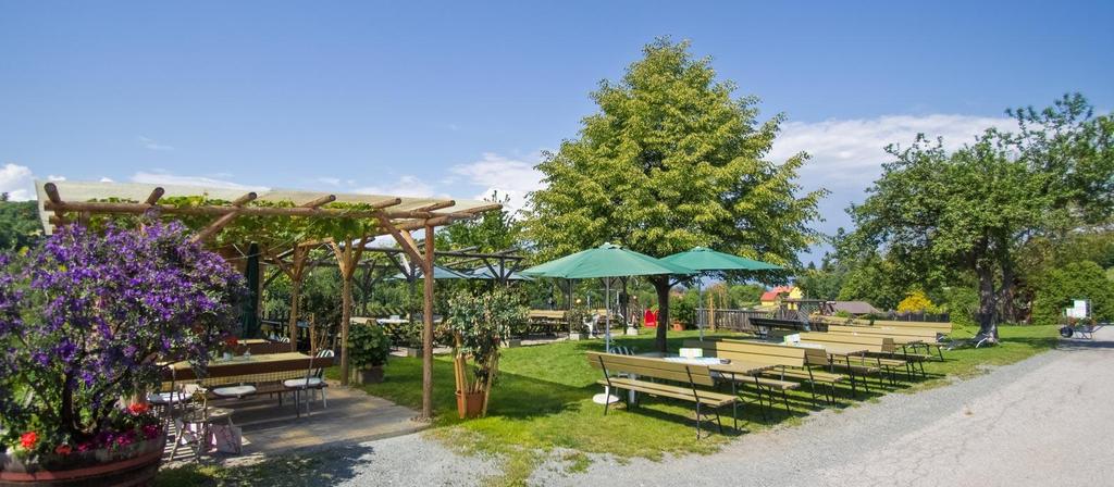 Buschenschank Dietrich_Gastgarten