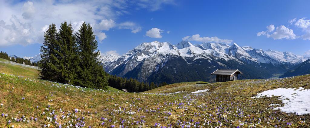 Lämmerbichl_Tirol Werbung_Sürth Paul_Tux-Hintertux.jpg