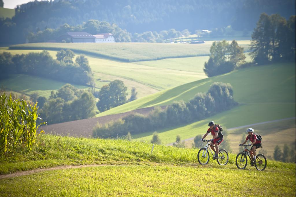 Mountainbiken%2bim%2bM%c3%bchlviertel-6
