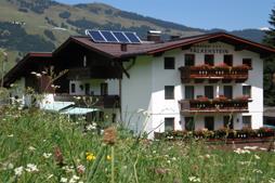 Falkenstein Sommer