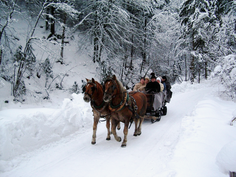 Schlittenfahrt ins Reichraminger Hintergebirge