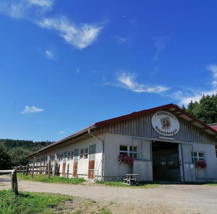 Reitstall Schneeberger in Schäffern