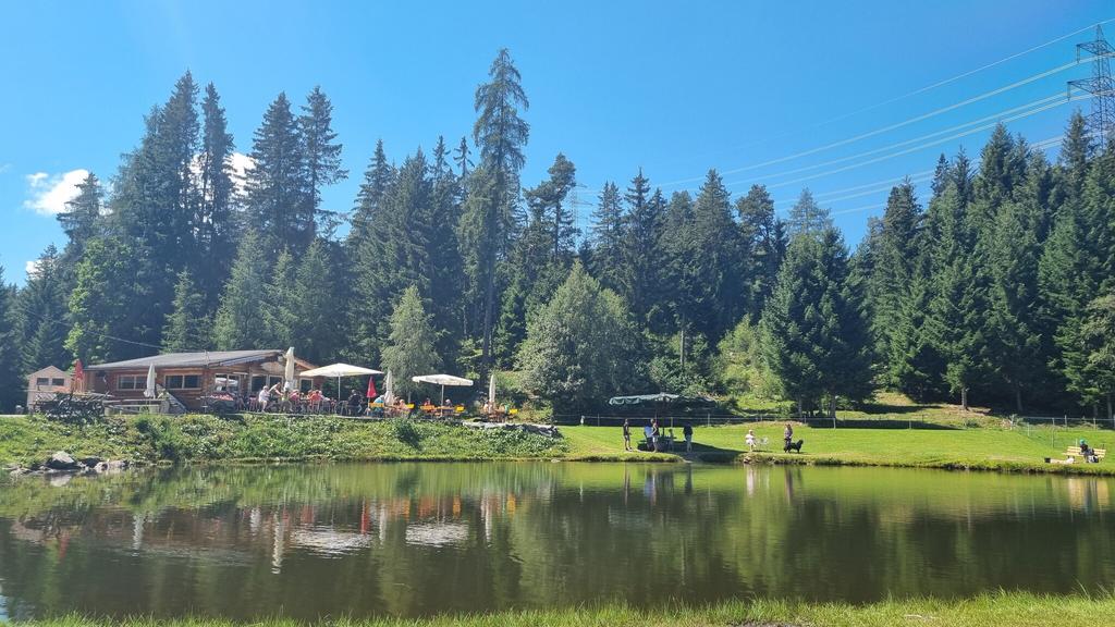 Fischteich Piller