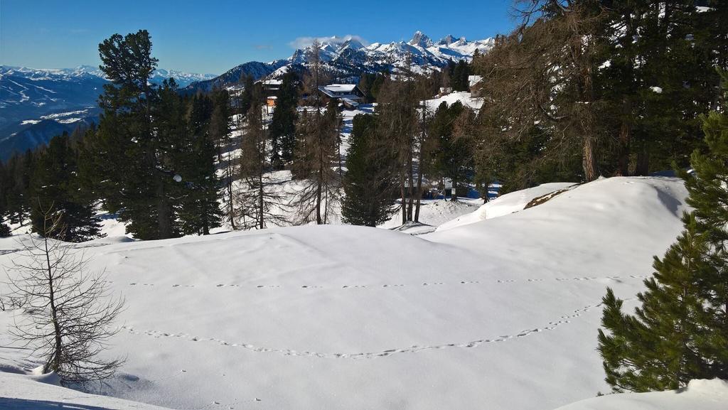 schneeschuhwanderung rossfeld stoderzinken_img_43714786