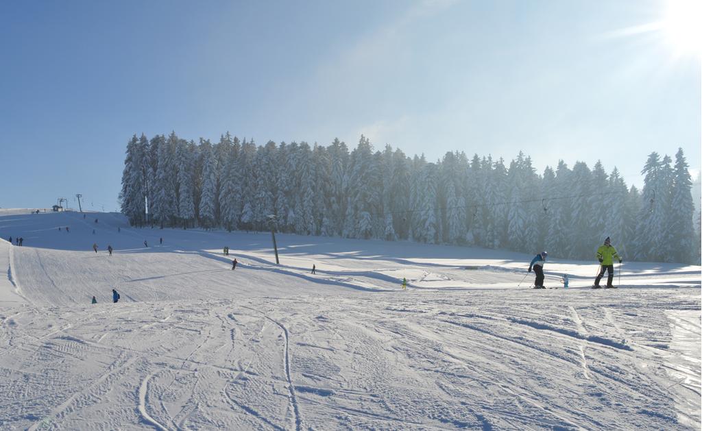 Luggi Leitner Lift Möggers