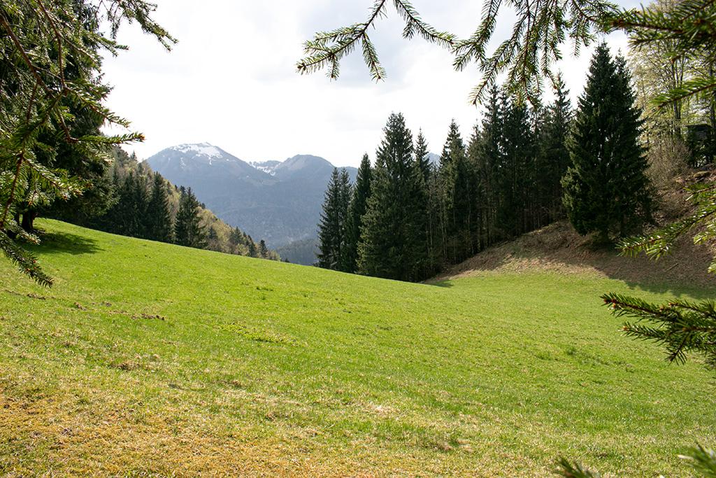 Kesselalm mit Blick aufs Zwölferhorn