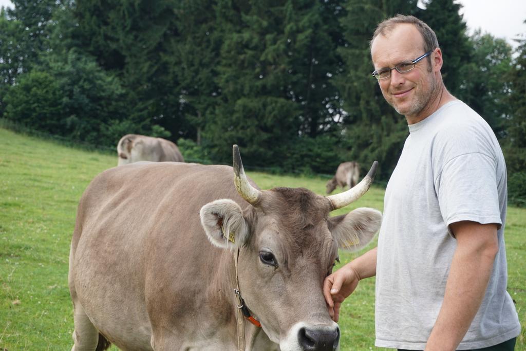 Kuh Bauer Archehof Birk Hellengerst