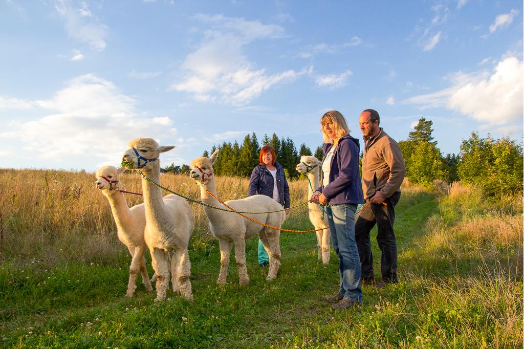 Naturschauspiel Inkagold im Mühlviertel