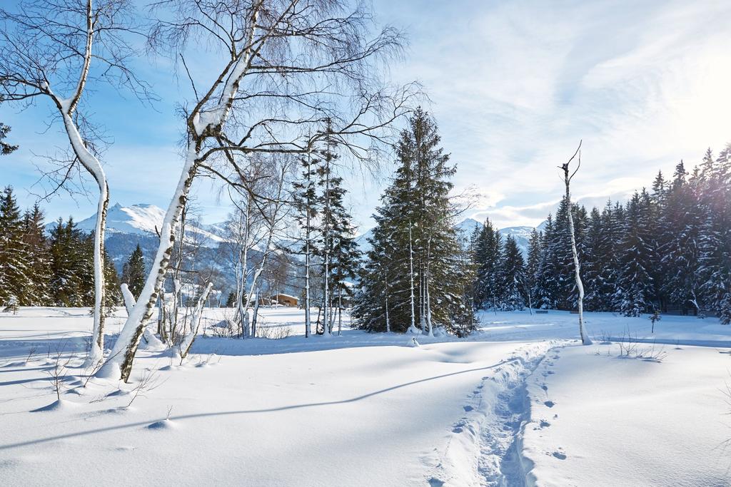 Das verschneite Hochmoor am Pass Thurn