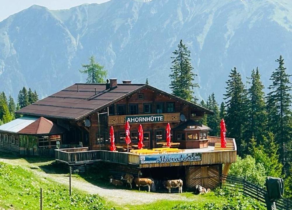 Ahhornhütte Sommer