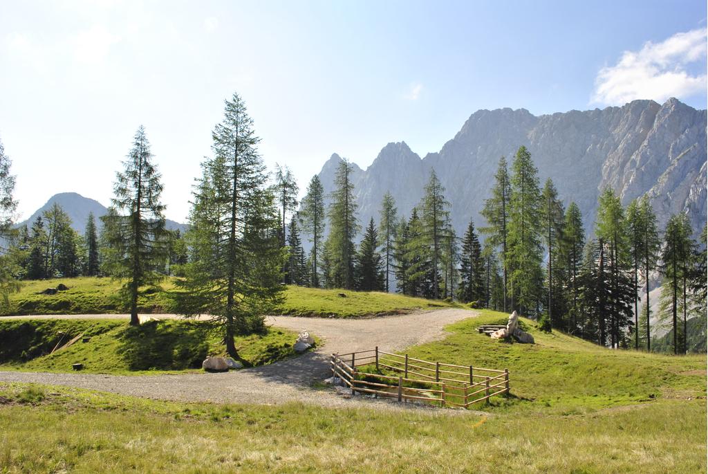 Orgisalm mit Blick zur Vertatscha