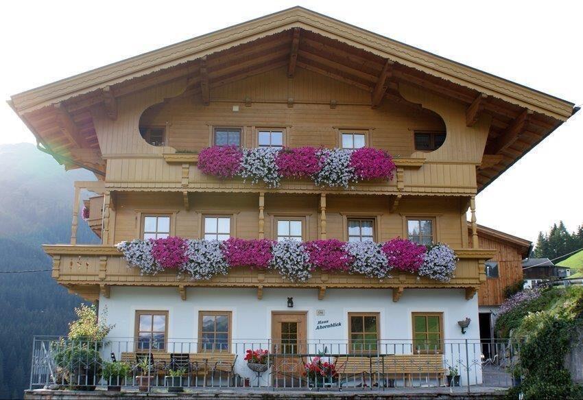 Ahornblick Hippach Sommer