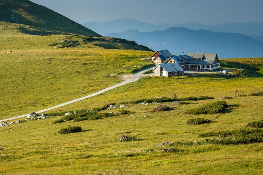 Aussicht zur Lurgbauerhütte