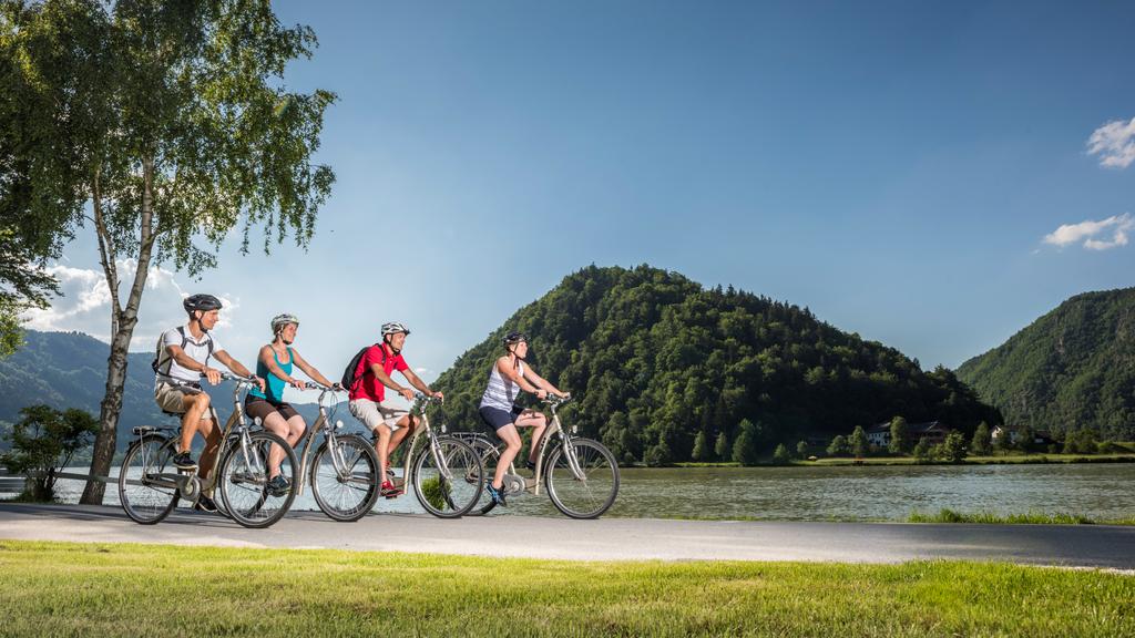 Donauradweg - Schlögener Schlinge