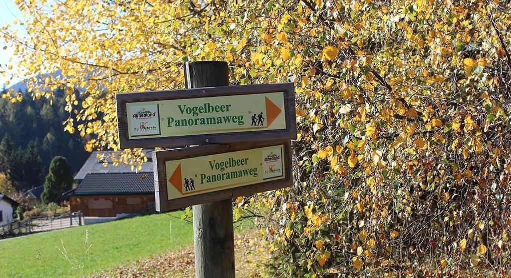 Vogelbeer-Panoramaweg_St. Kathrein/O._Oststeiermark