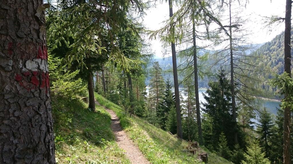 Blick zurück zum Erlaufsee