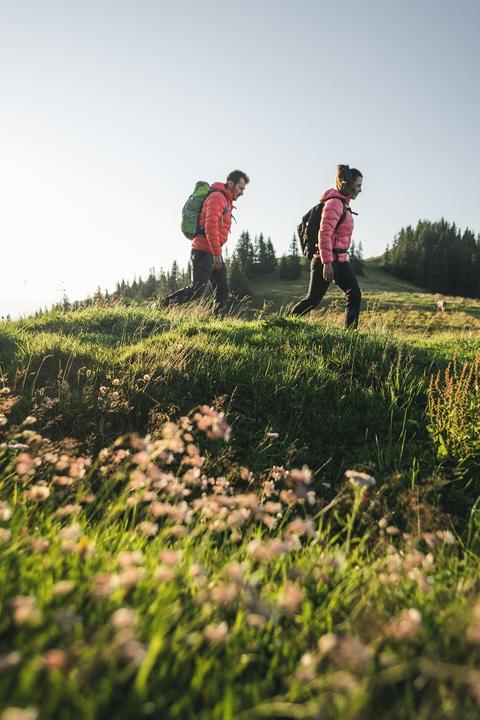 Wandern