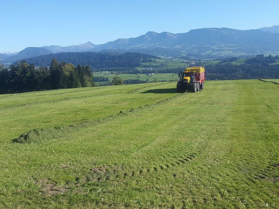 Vögelhof