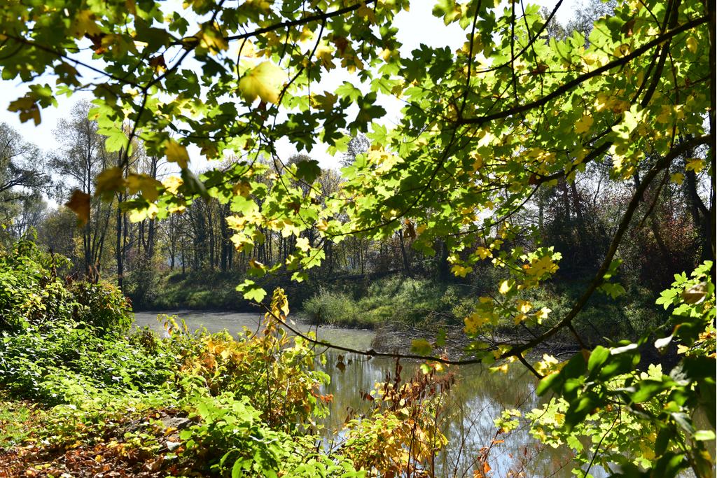 Schärdinger Grüntal