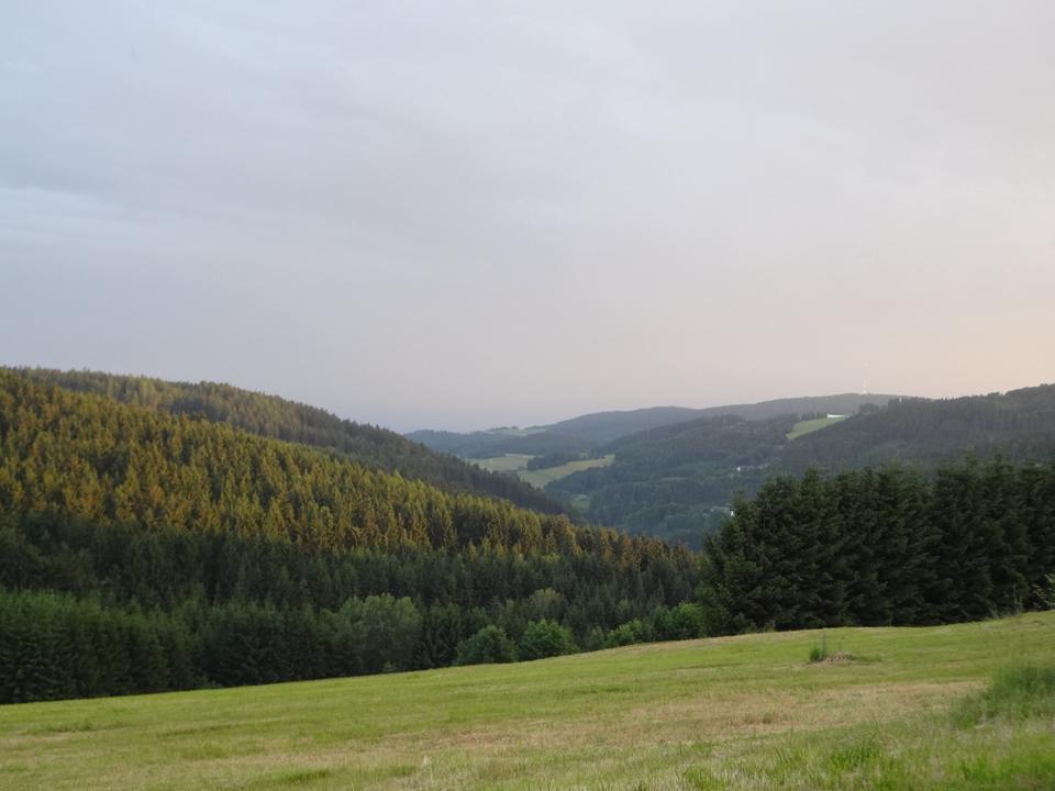 Blick in die Alpen