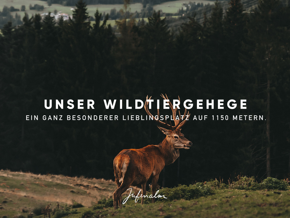 Wildtiergehege Jufenalm