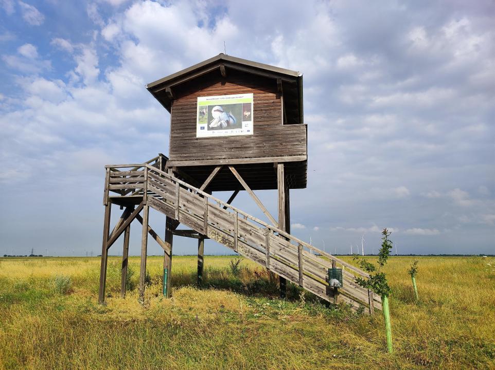Aussichtsturm Zurndorf