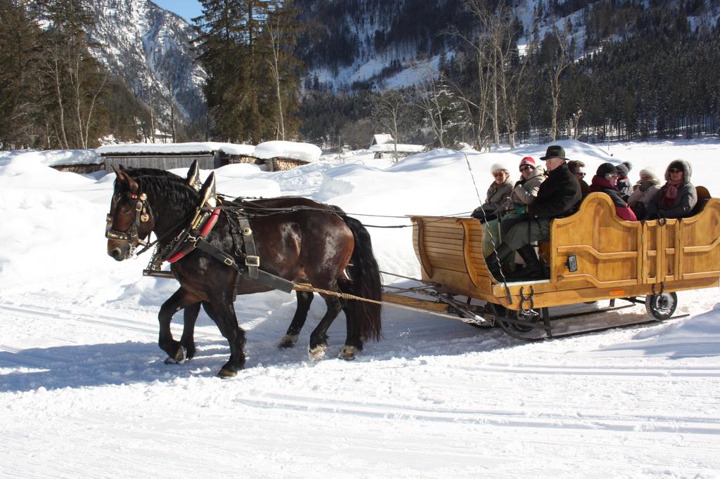 Pferdeschlittenfahrt in Gosau