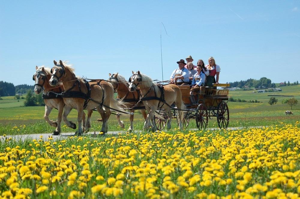 Mit der Kutsche unterwegs