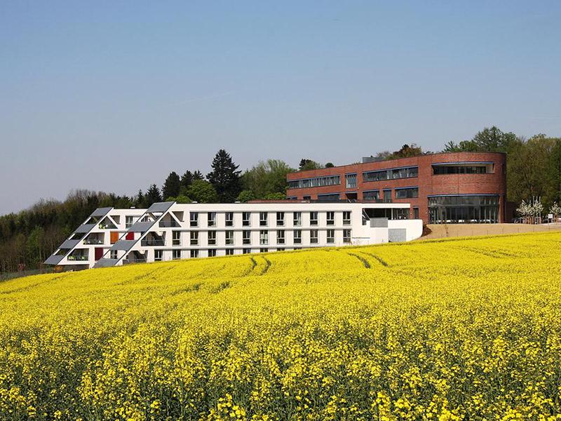 Sonnenpark mit Rapsfeld.jpg