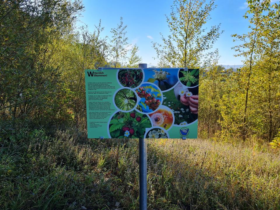 Kräuterweg Lengau