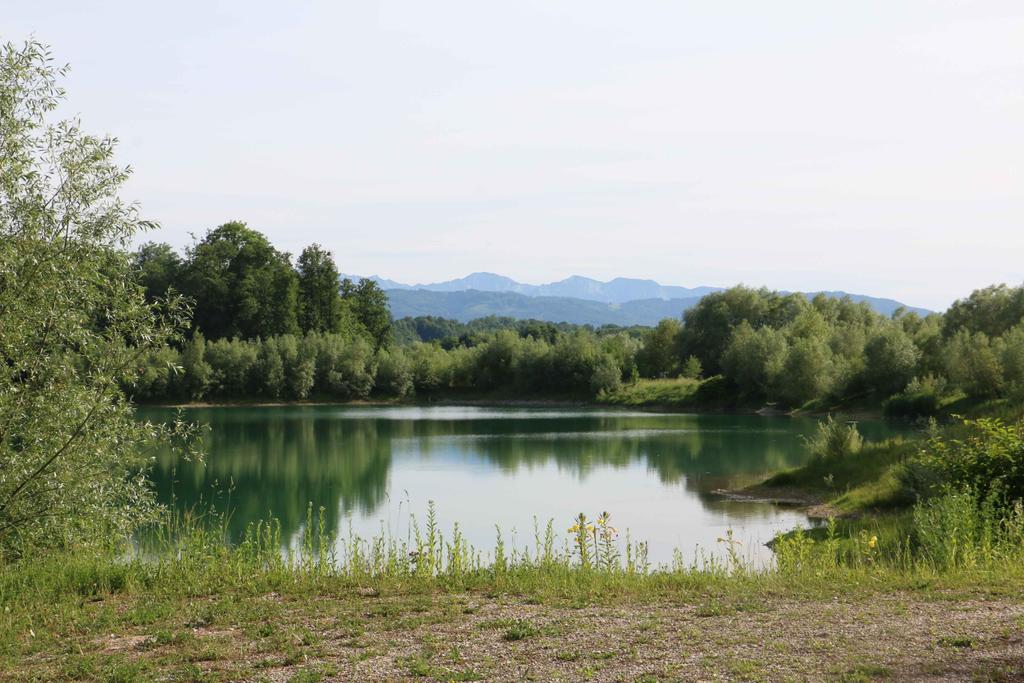 2017-06-08_naturerlebnis_schottergrube_-75