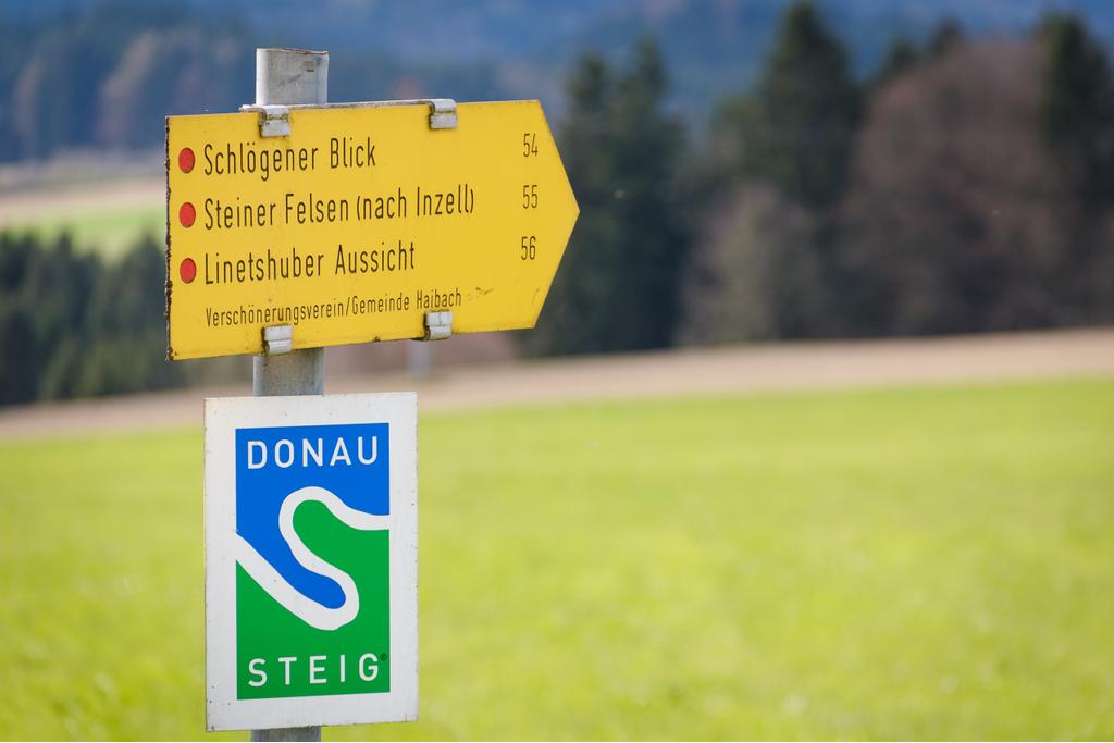 Wanderweg Schlögener Donaublick