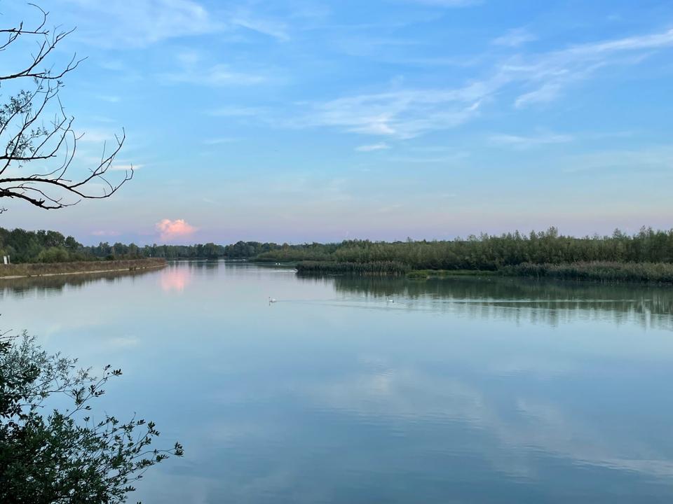 Wald-Exkursion im Naturium am Inn