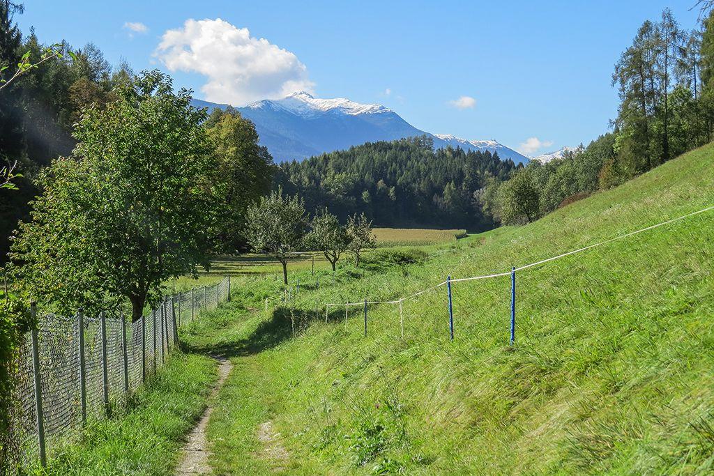 WF_Imst_T08_IMG_01_5808_Plott.jpg