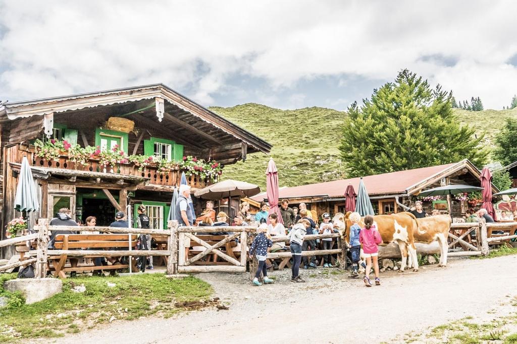 Walleralm Wandern Einkehr Hütte Alm