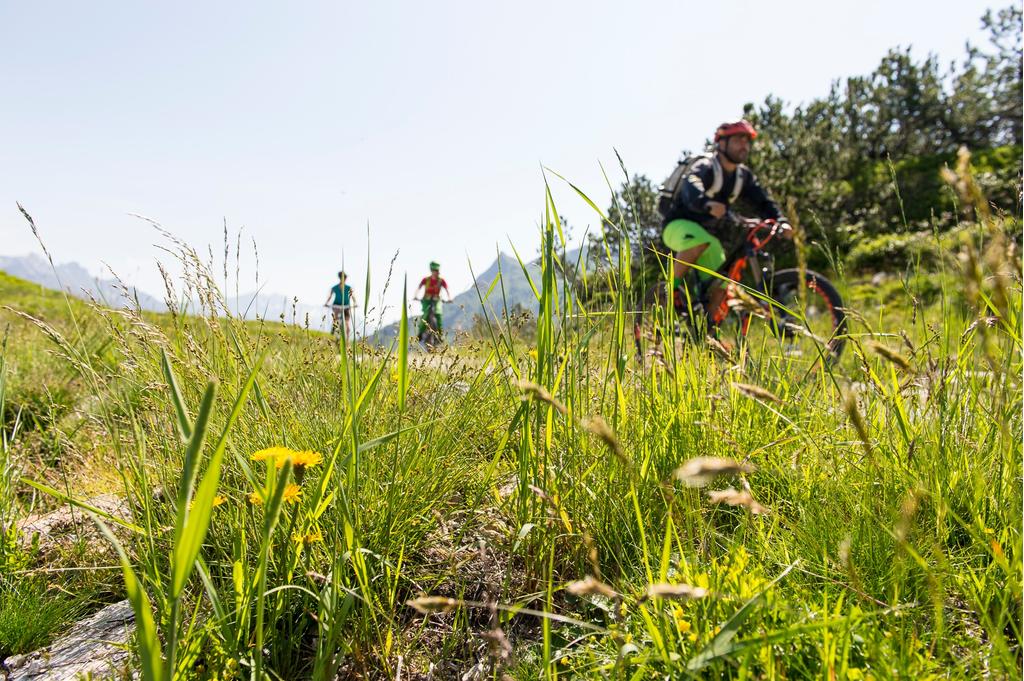 Mit dem Mountainbike unterwegs am Sonnenkopf