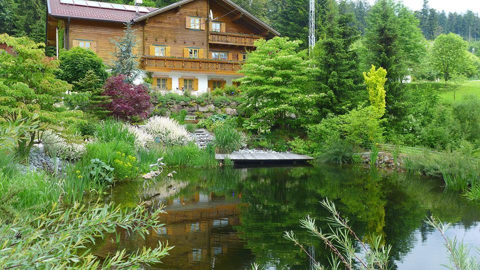 Sommerbild mit  TEICH   -Saiblingen