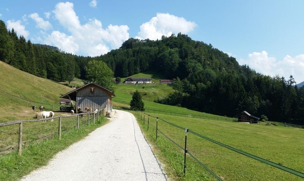 Hochsteinalm