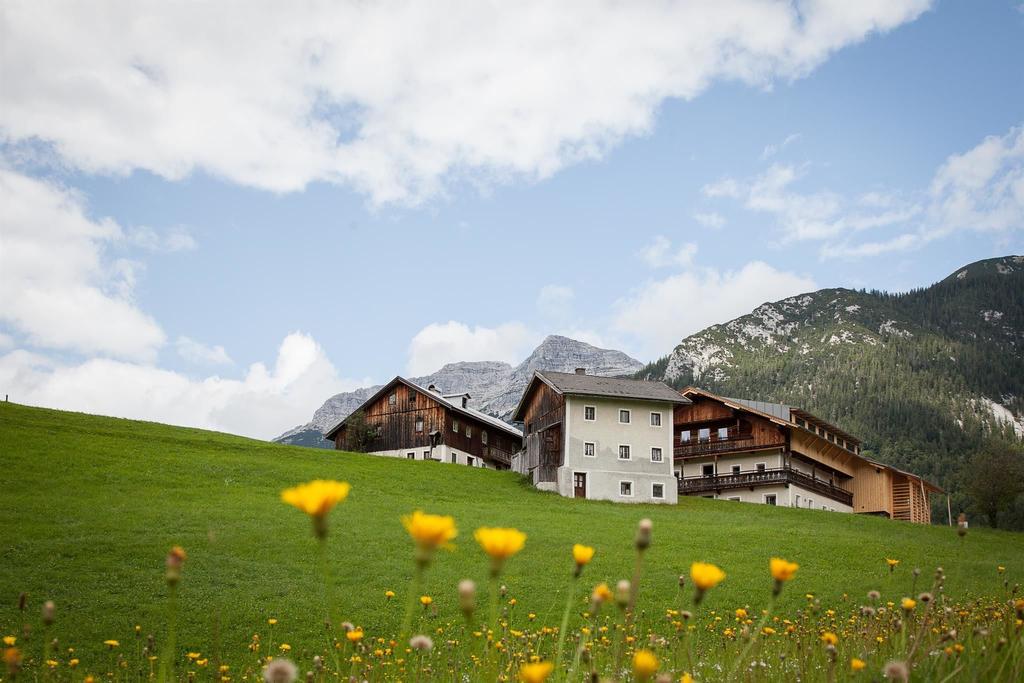 mesnerhof-1320