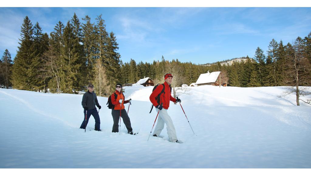 Schneeschuhwandern in Bad Goisern am Hallstättersee