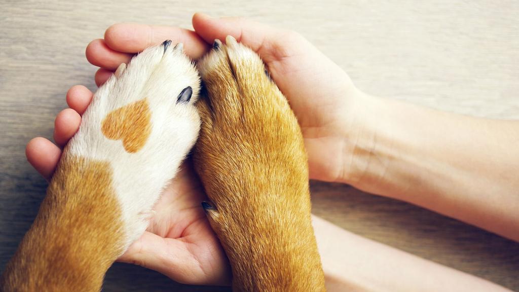 Tierliebe