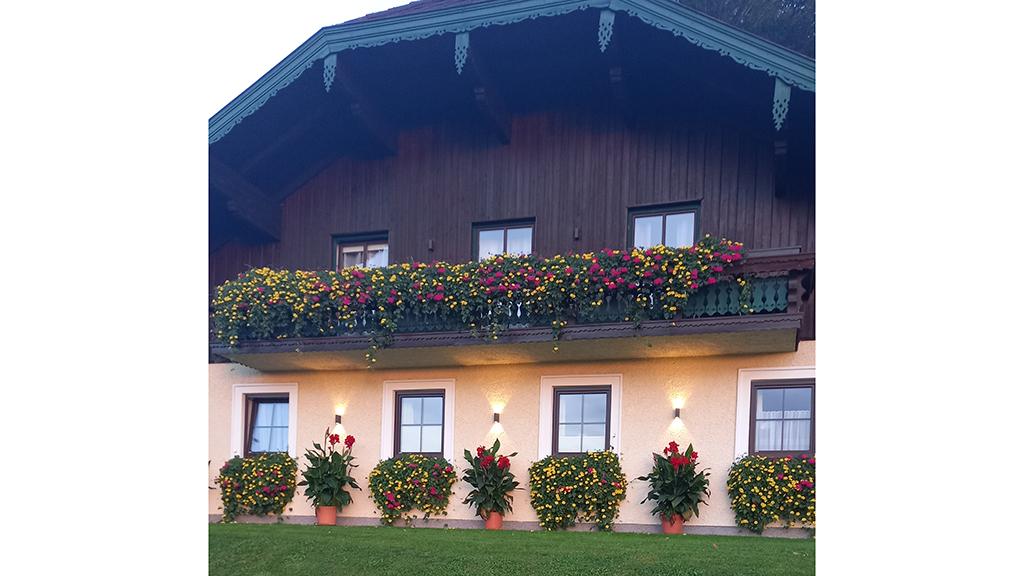 Haus