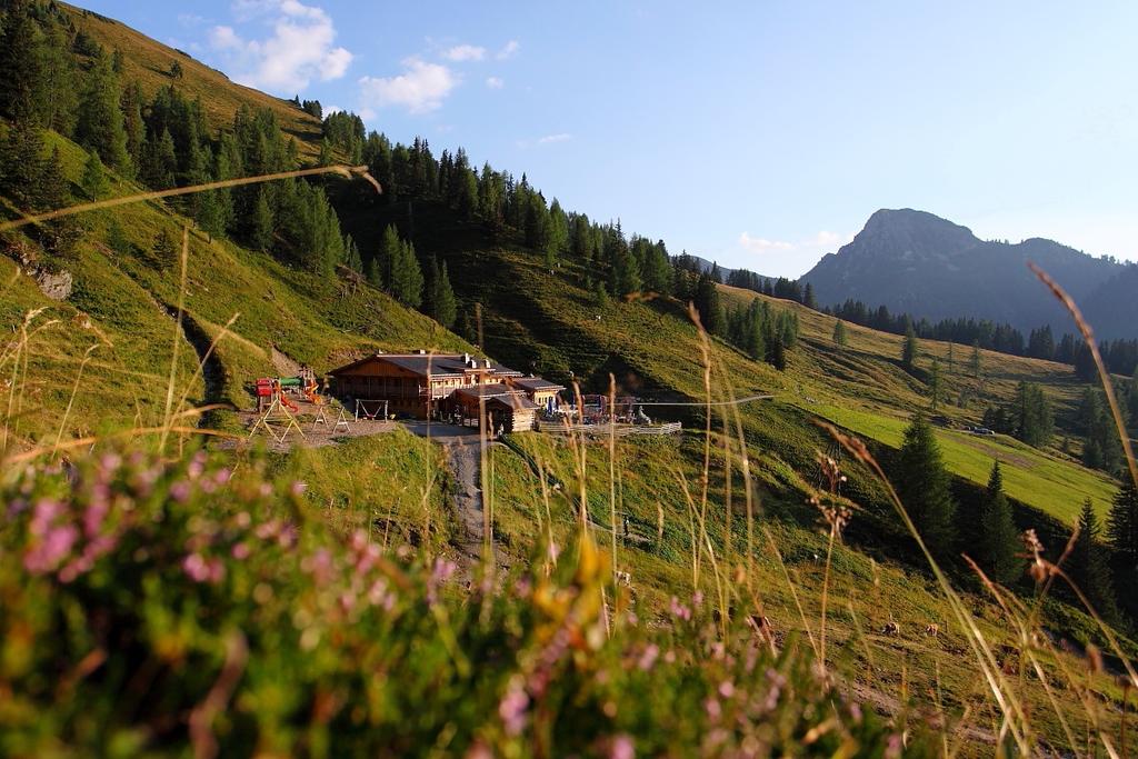 Loosbühelalm